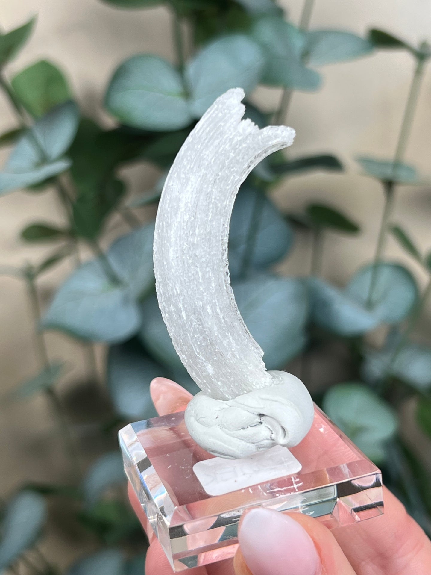 Horn Selenite (20EK)